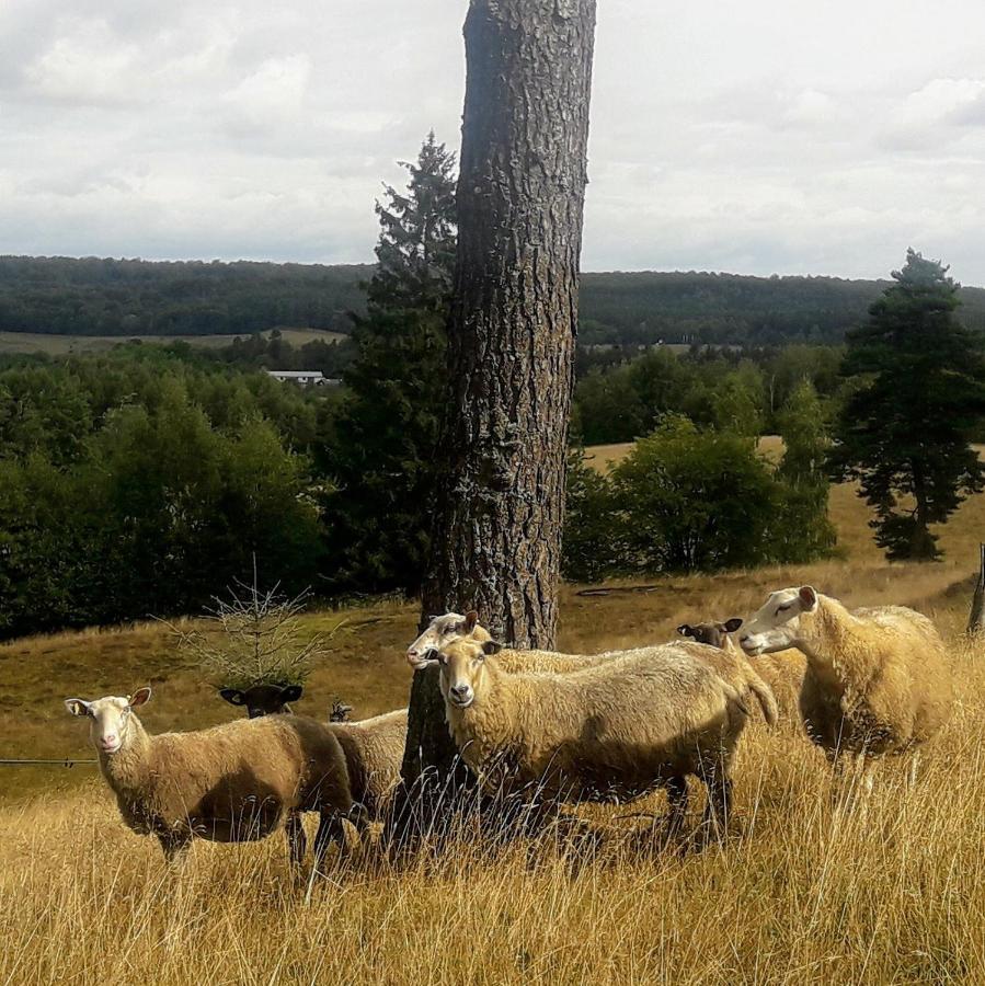 Broesarp Kaellagarden Stora Gardslaegenheten Dış mekan fotoğraf