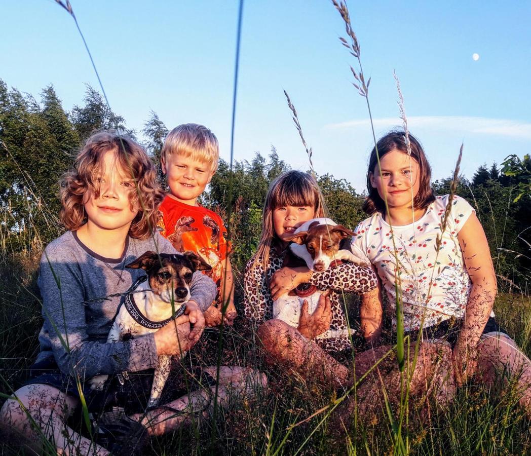 Broesarp Kaellagarden Stora Gardslaegenheten Dış mekan fotoğraf