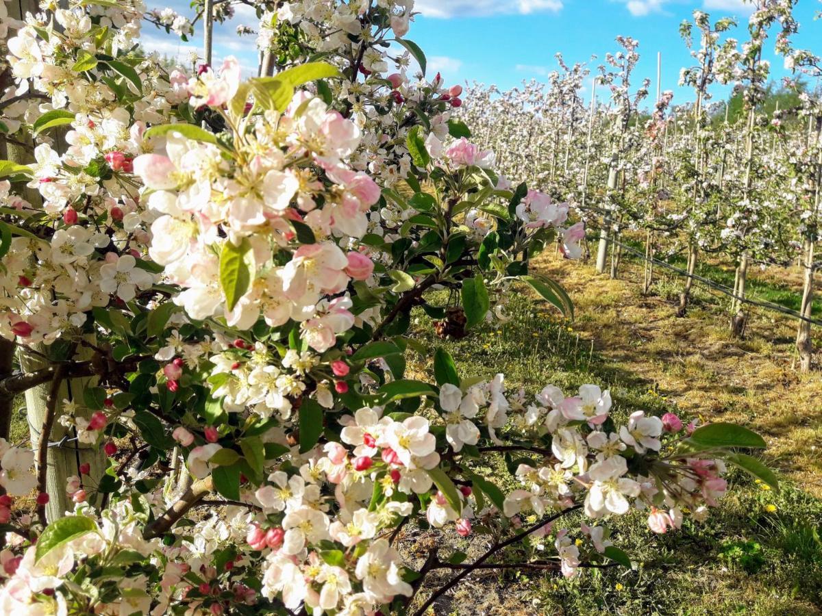 Broesarp Kaellagarden Stora Gardslaegenheten Dış mekan fotoğraf