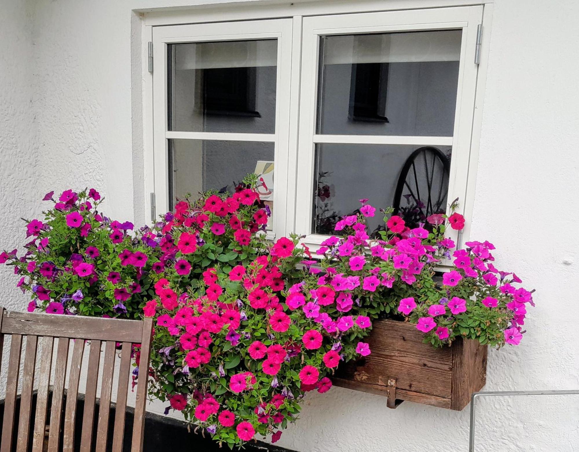 Broesarp Kaellagarden Stora Gardslaegenheten Dış mekan fotoğraf